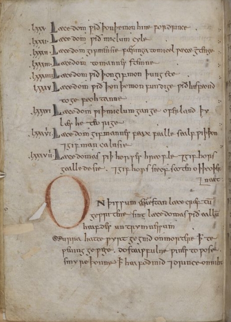 Page from an Anglo-Saxon medical manuscript
