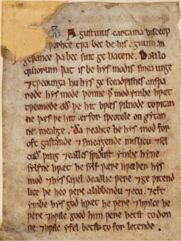 cotton vitellius a xv f 5v c british library board